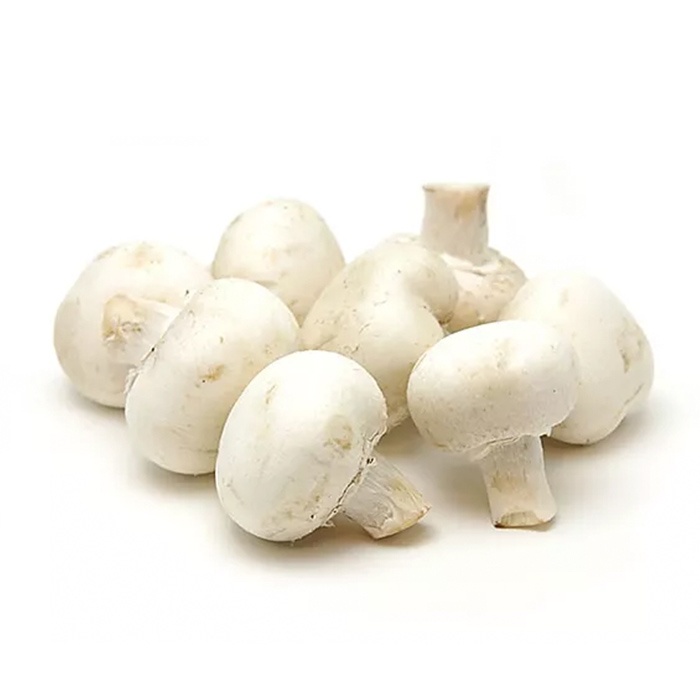 Champiñón