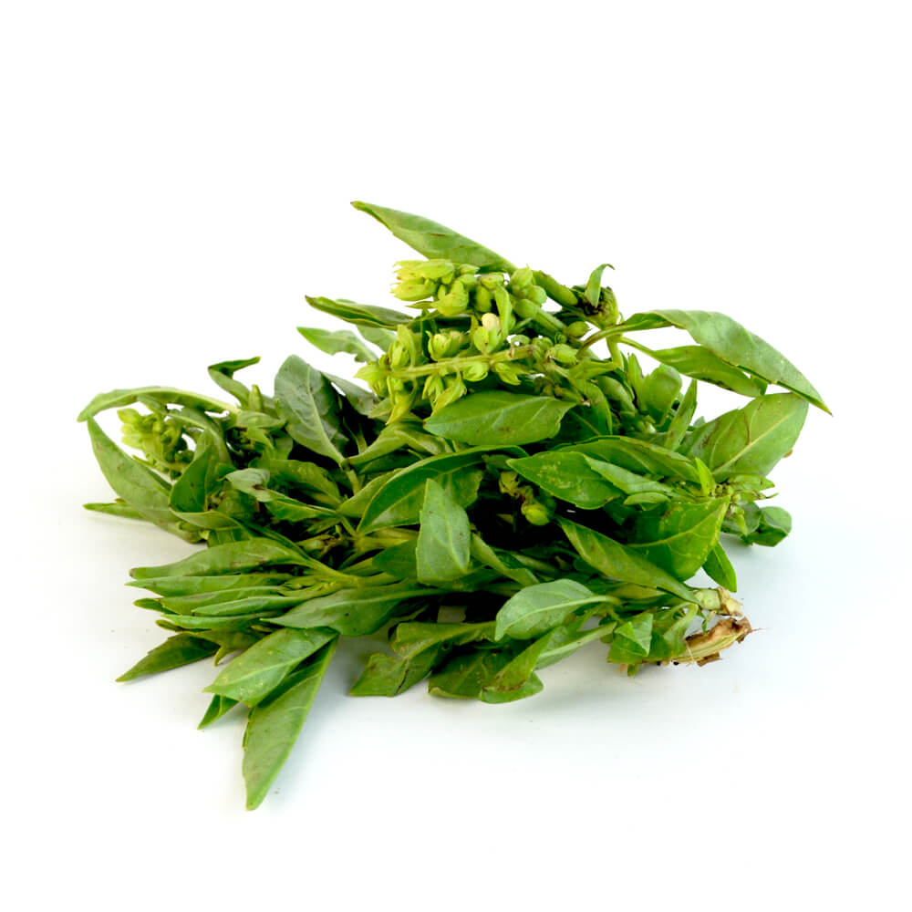 Albahaca Italiana