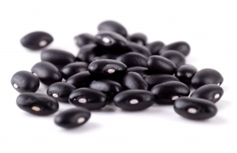 Frijol Negro