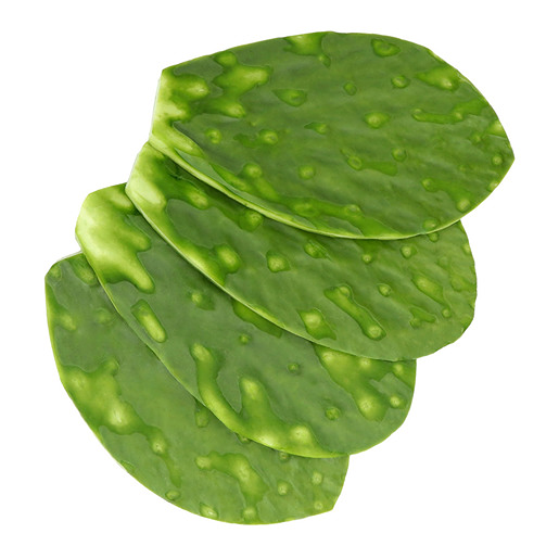 Nopal