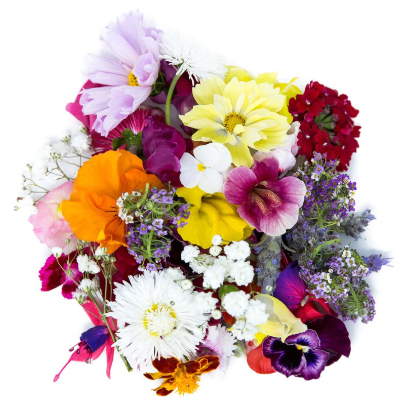 Flores Comestibles