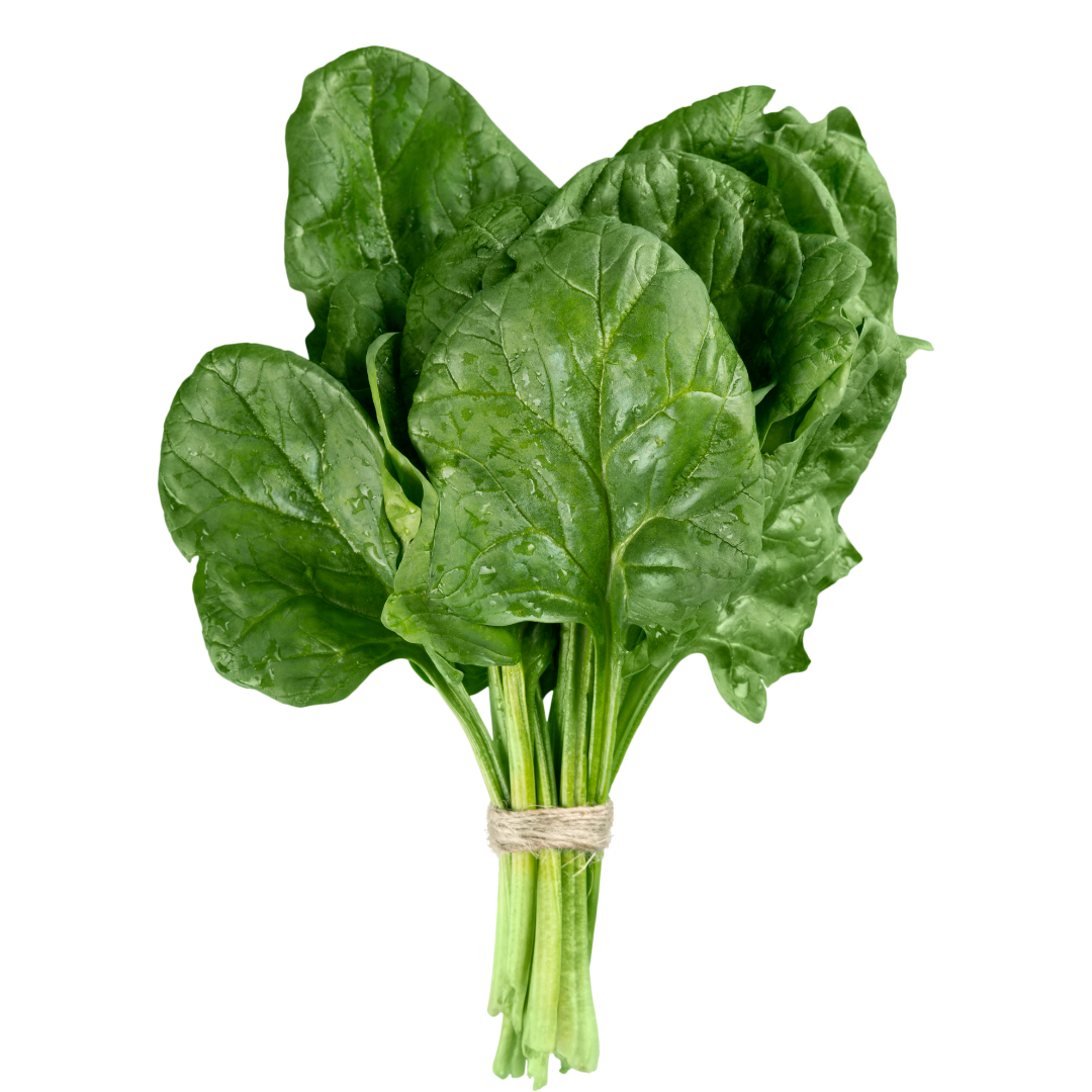 Espinaca