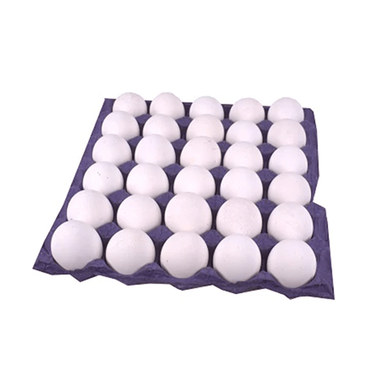 Huevo Orgánico