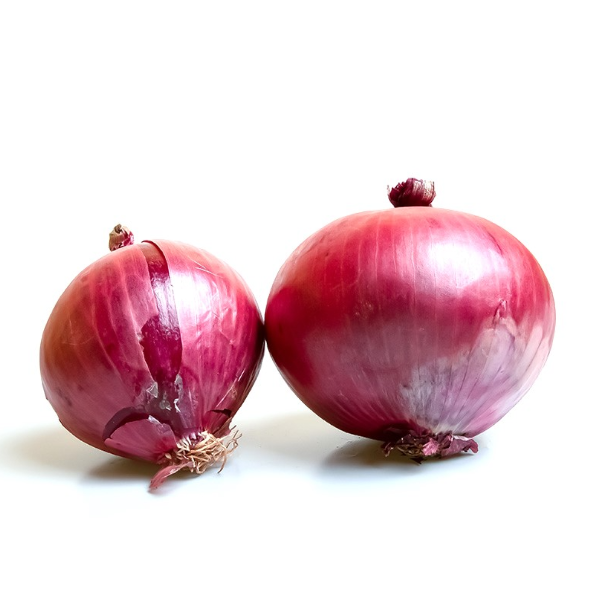 Cebolla Morada